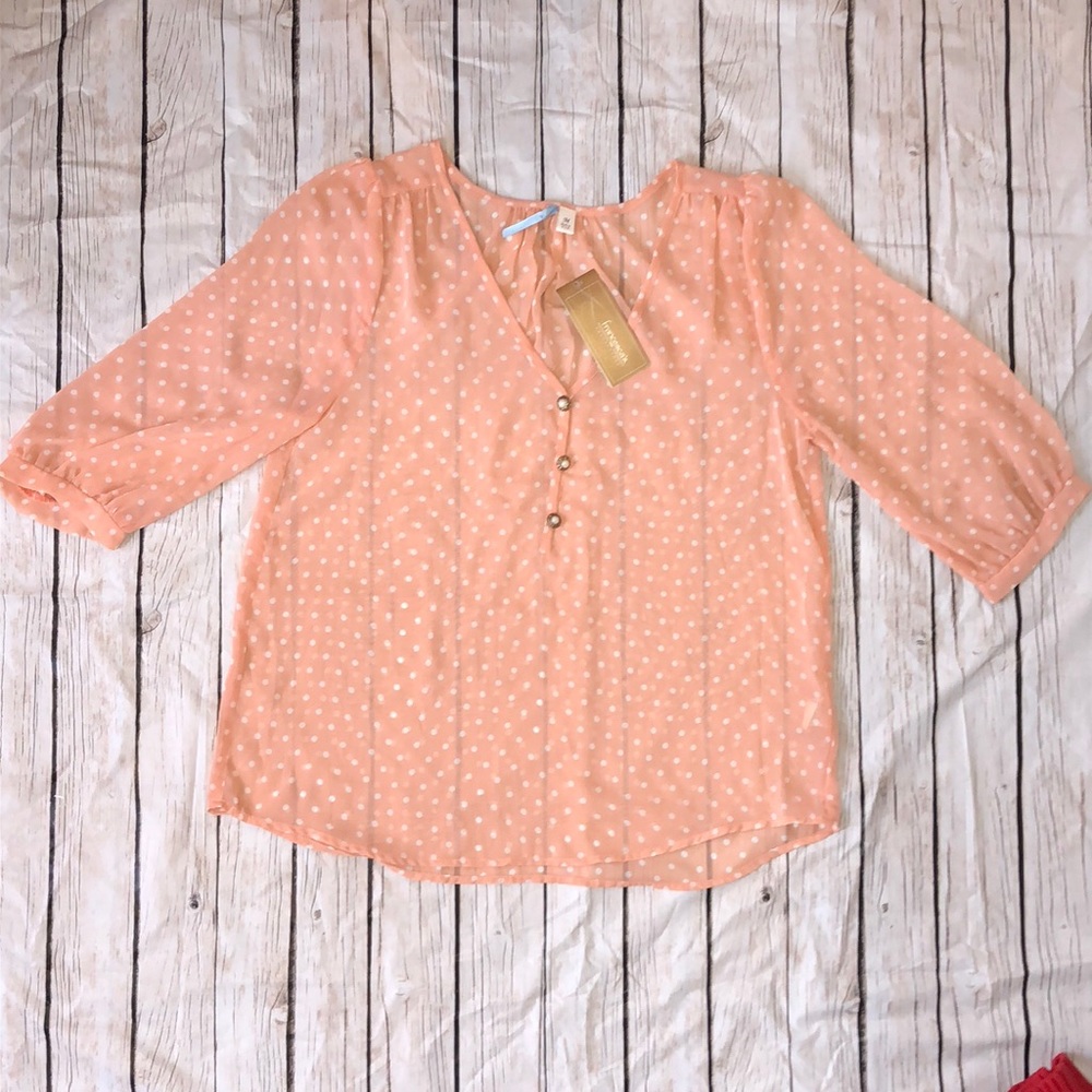 Francesca’s Sheer Blouse
